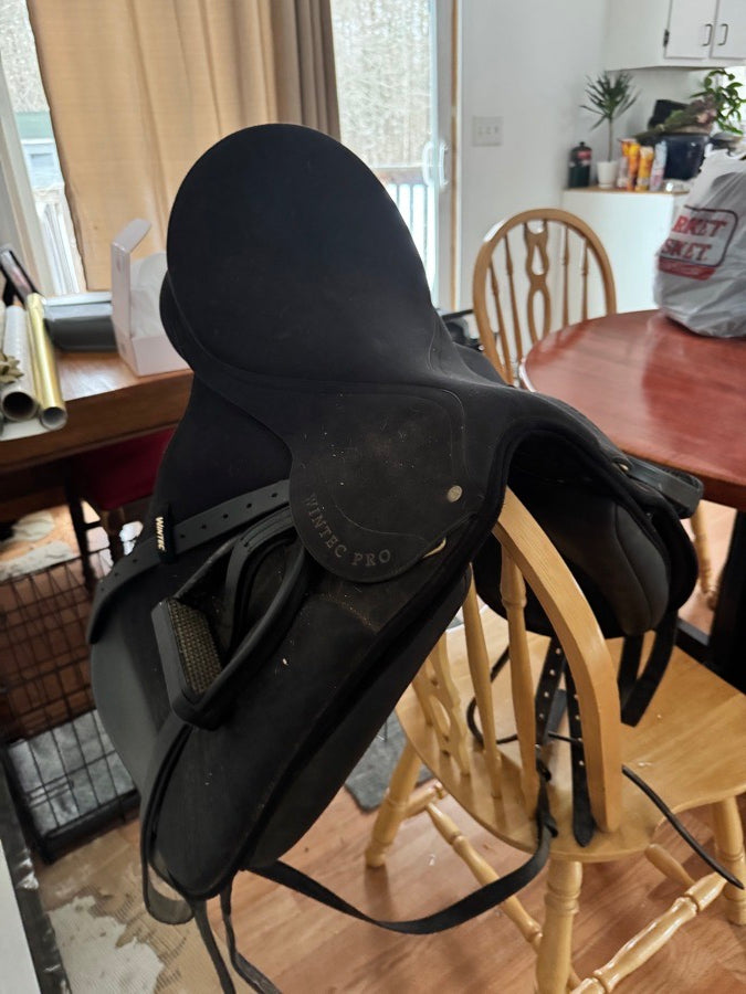 Wintec saddle