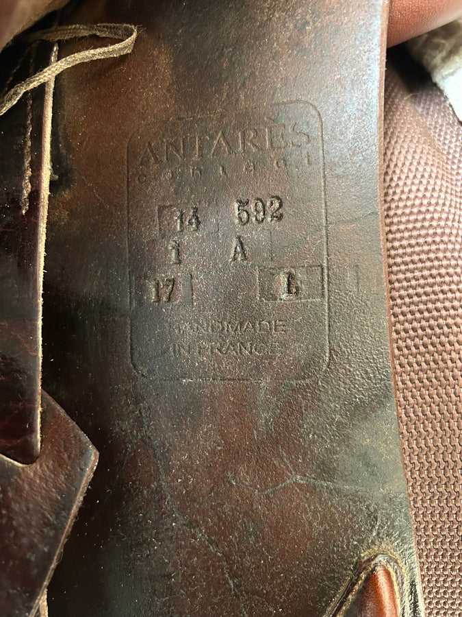 17” Antares Saddle