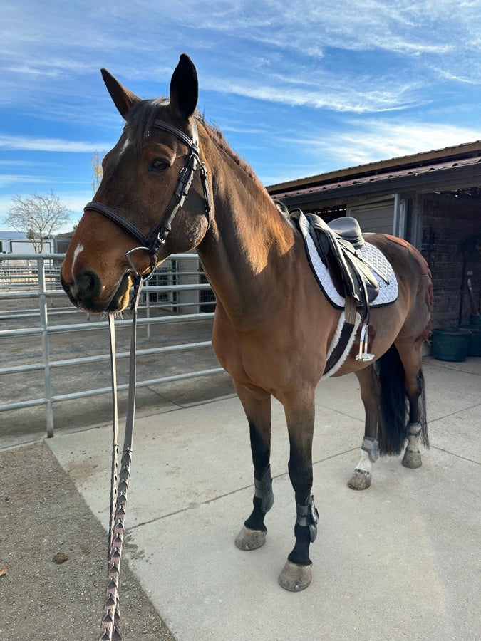 Nunn Finer Rubber Lined Laced Reins - Brown