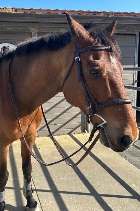 Nunn Finer Rubber Lined Laced Reins - Brown