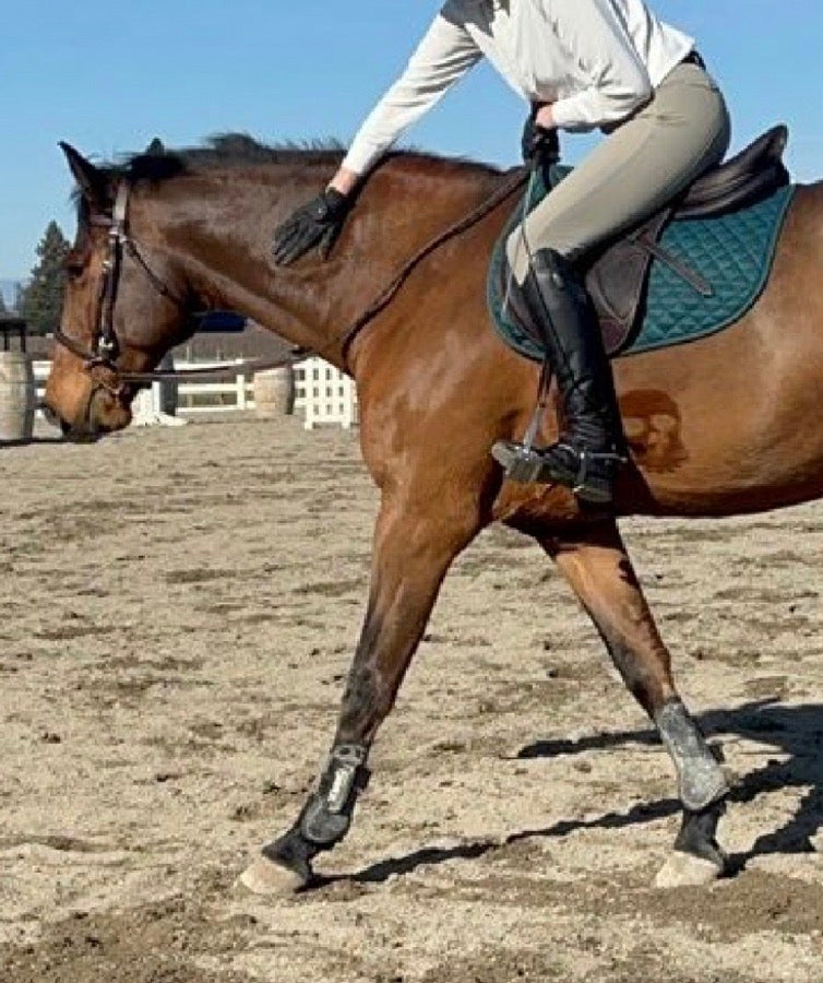 Nunn Finer Rubber Lined Laced Reins - Brown