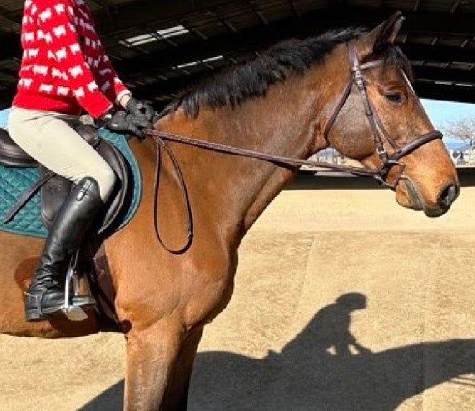 Nunn Finer Rubber Lined Laced Reins - Brown