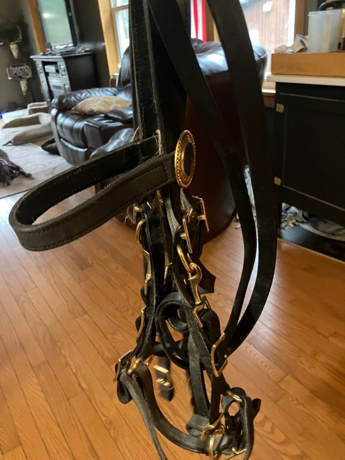 Other Halter bridle (3)