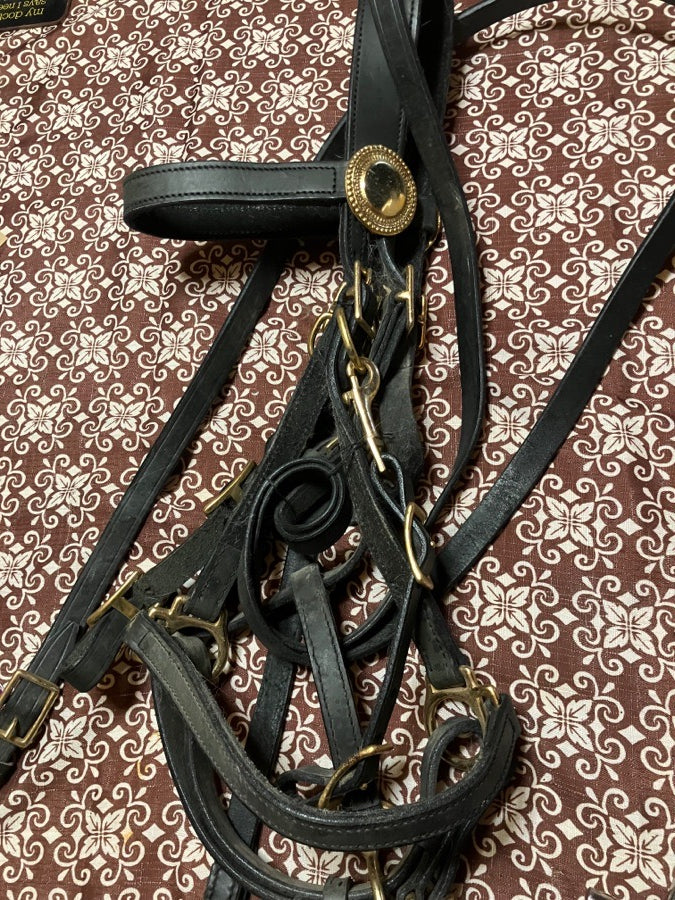 Other Halter bridle (2)