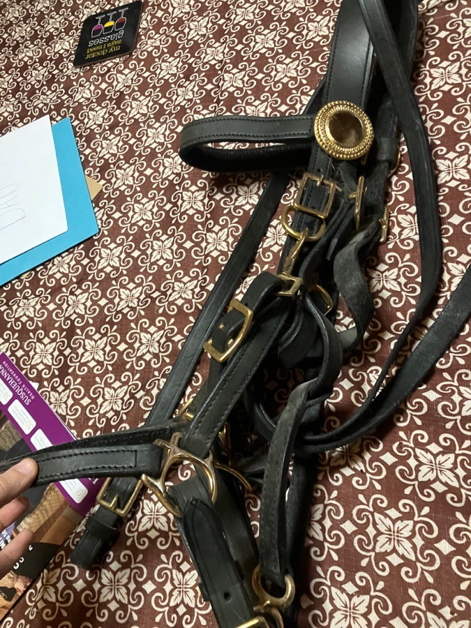 Other Halter bridle