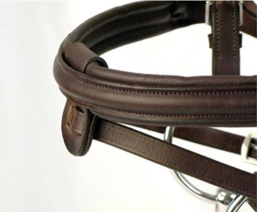 Smith worthington Elite Raised Padded Bridle w/Convertible Flash — Warmblood (3)