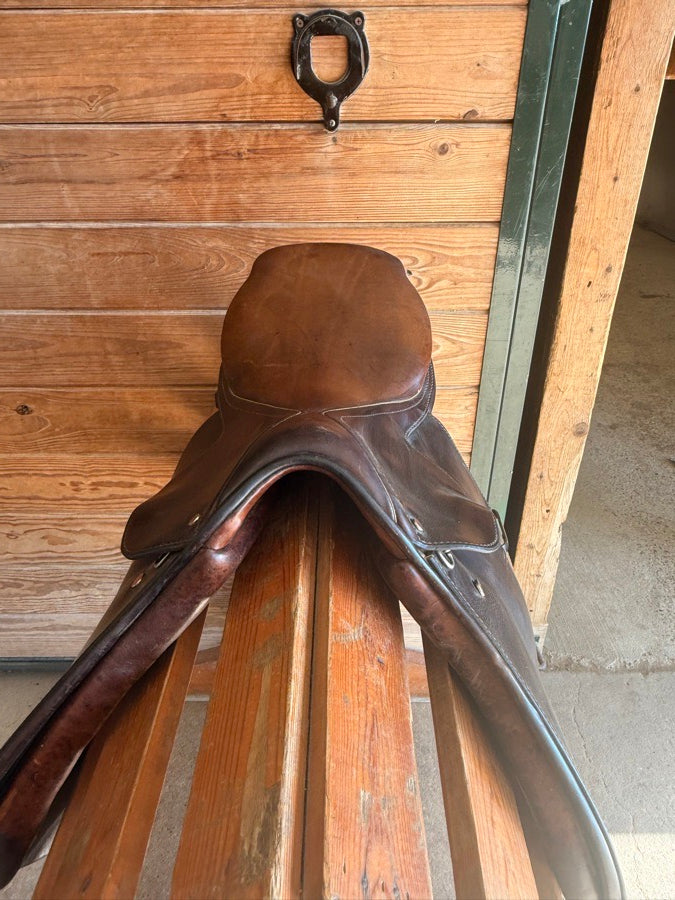 COURBETTE Courbette jump saddle (5)