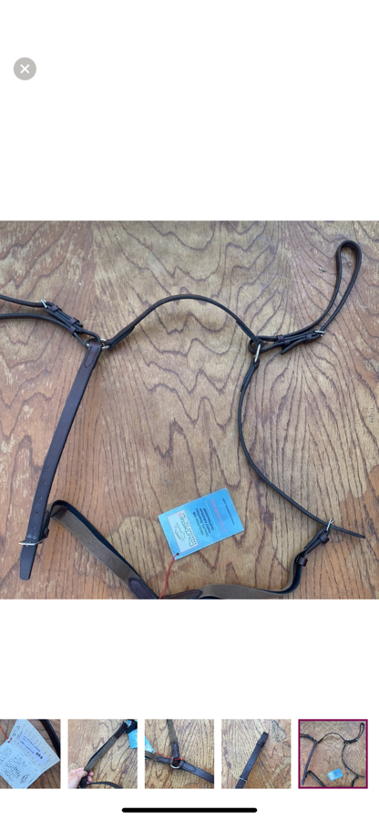 NEW NWT Courbette 3 Point Elastic Breastplate Horse Size