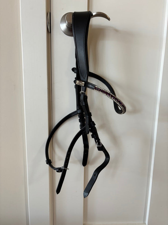 Hackamore Bridle
