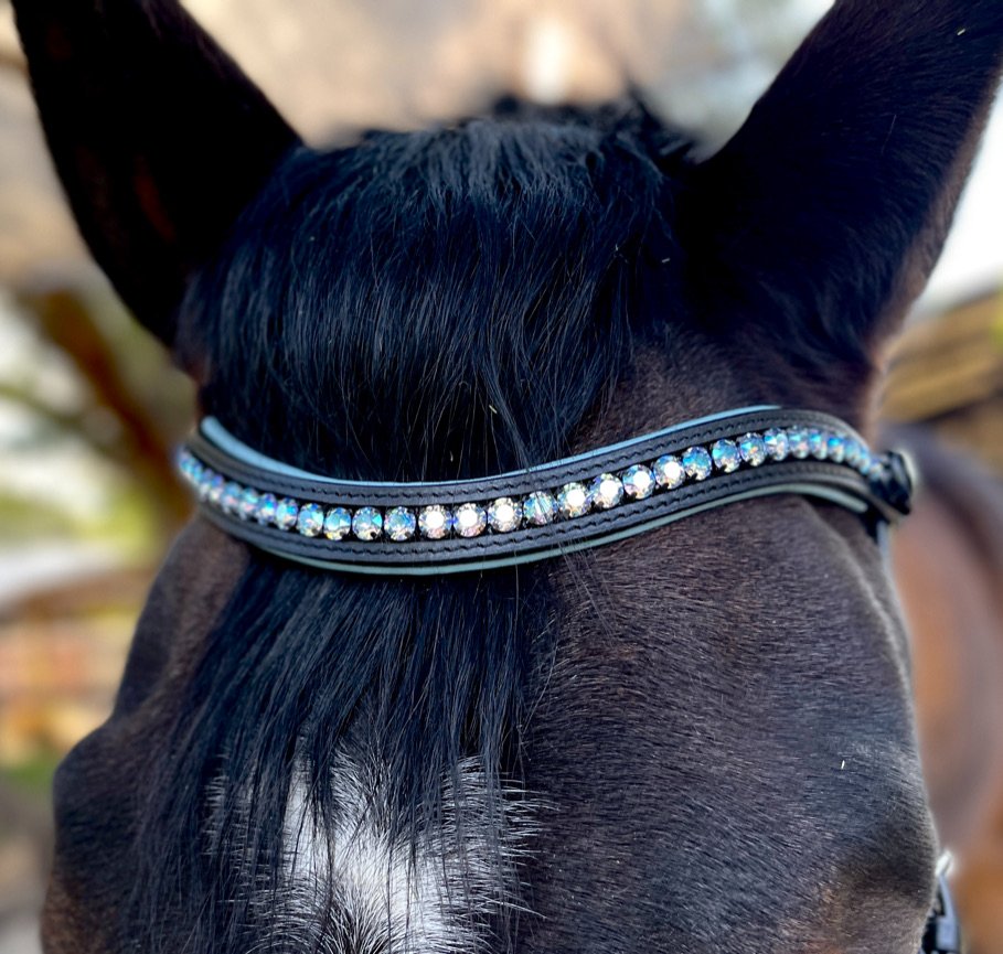 NQP Caspian - Black Rolled Leather Snaffle Bridle with Sky Blue Padding