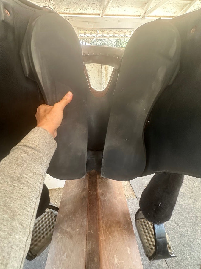 Specialized Saddle - International model