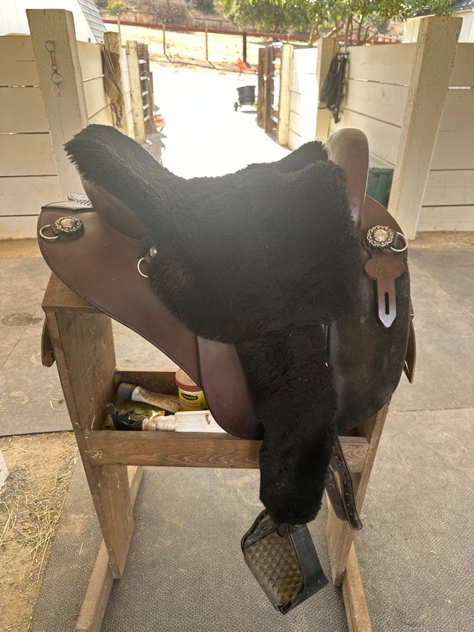 Specialized Saddle - International model