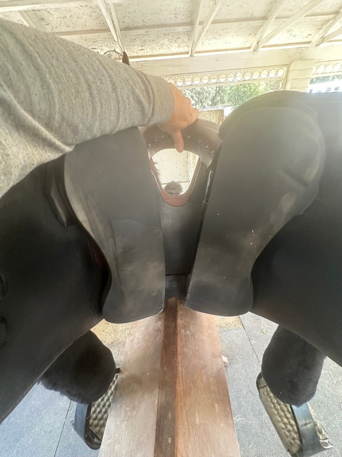 Specialized Saddle - International model