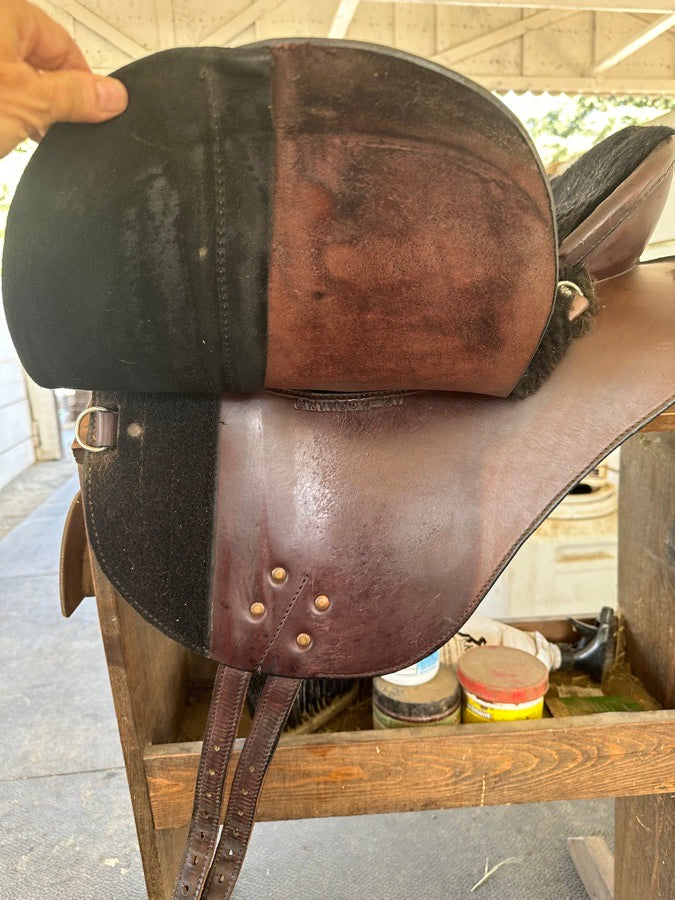 Specialized Saddle - International model