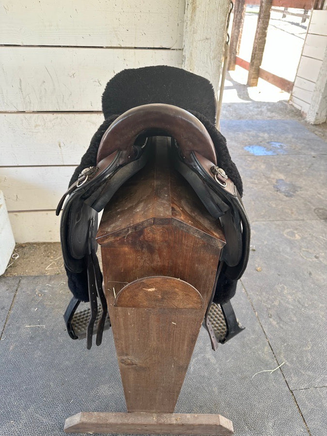 Specialized Saddle - International model