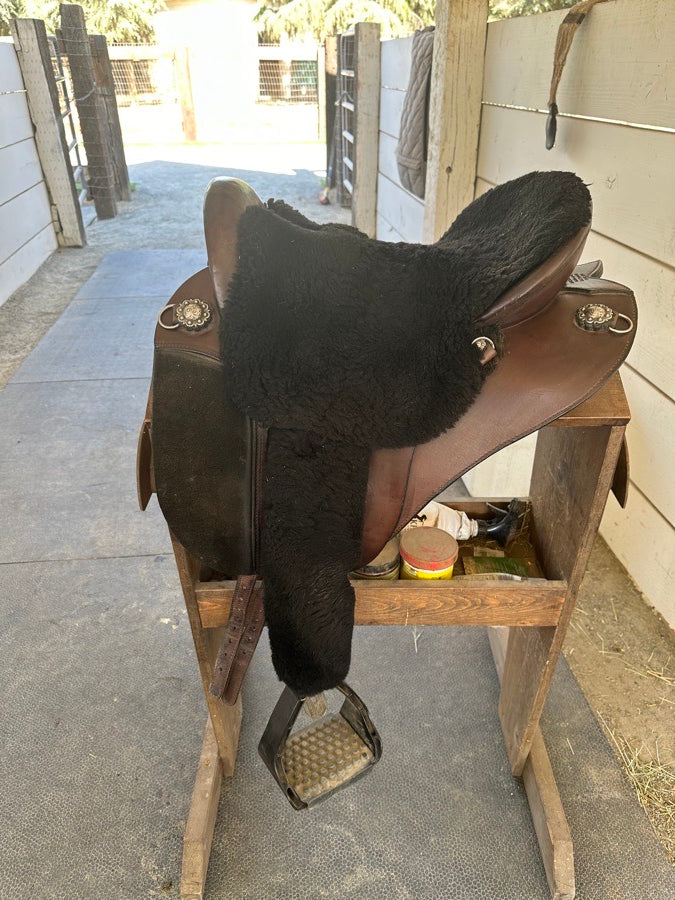Specialized Saddle - International model