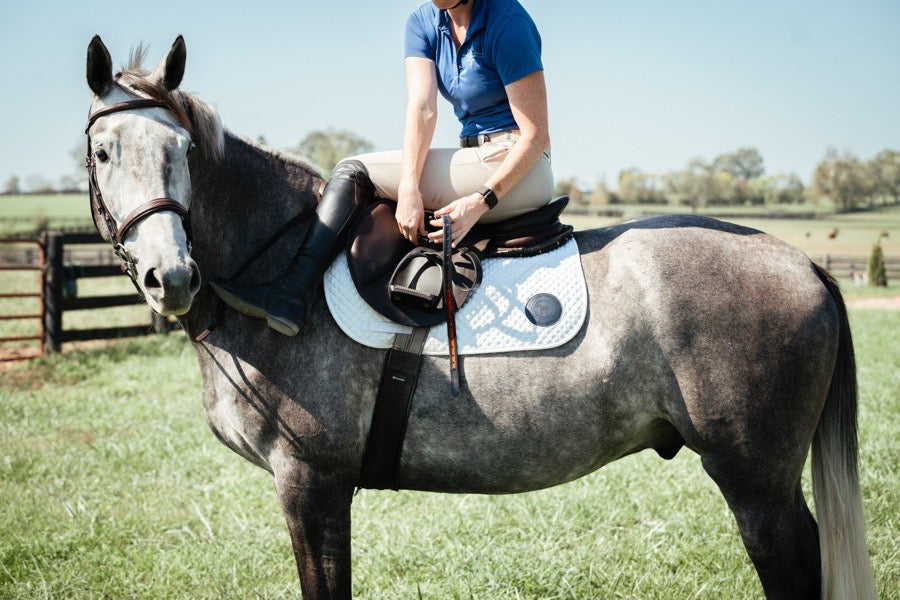 Reinbow Stirrup Leathers - 54”