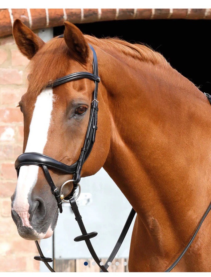 Other Premier Equine Ergonomic Jump Bridle (2)