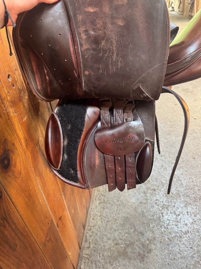 COLLEGIATE 17” Collegiate Saddle (3)