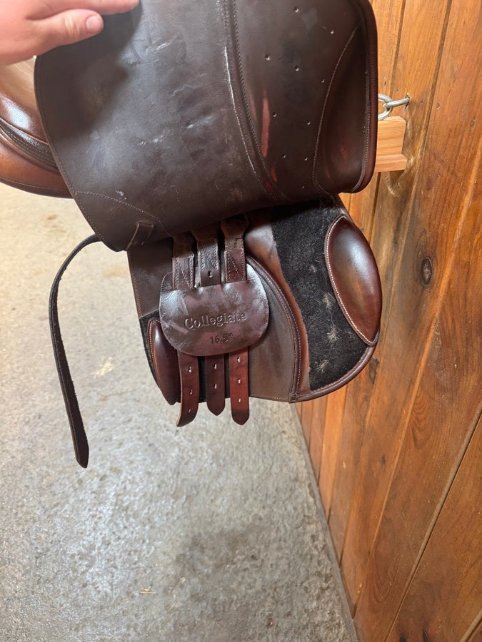 COLLEGIATE 17” Collegiate Saddle (4)