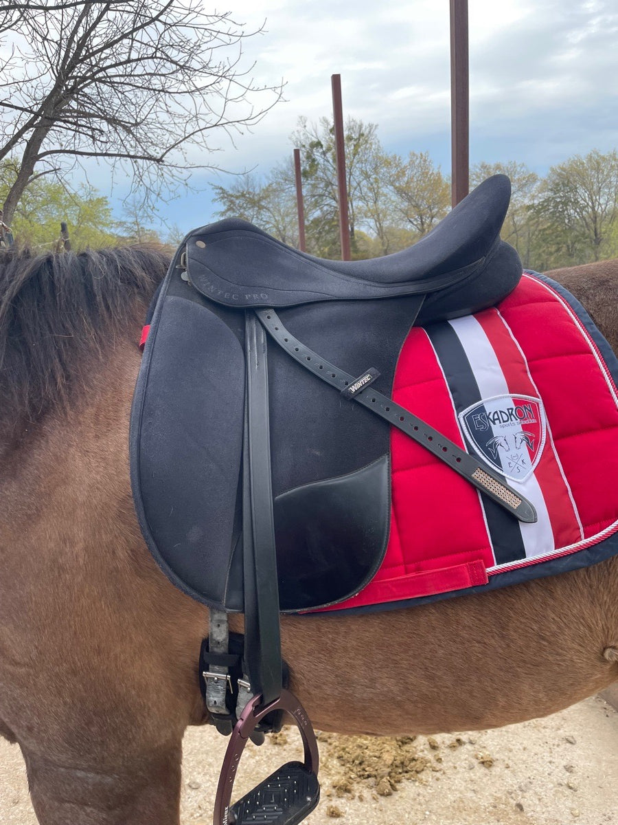 Wintec dressage saddle