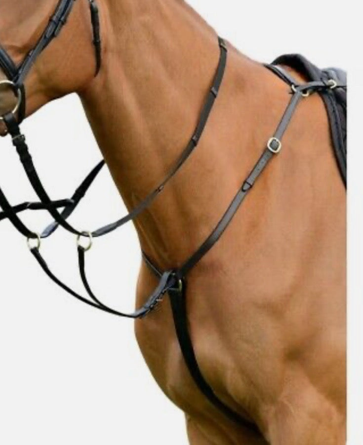 Running martingale