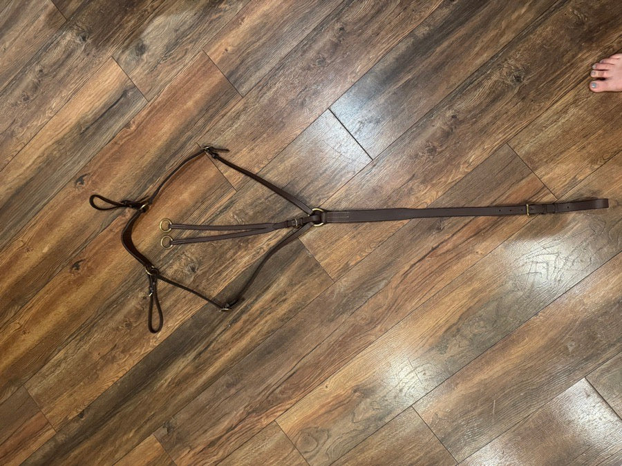 Running martingale