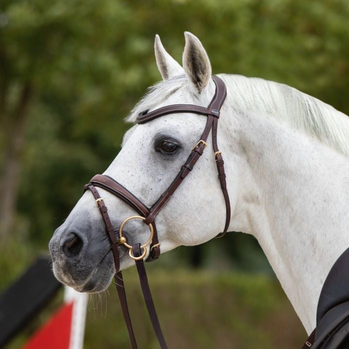 Passier No Limits Bridle