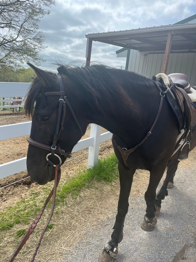 OTHER ENTIRE TACK SET FOR SALE NEED GONE IMMEDIATELY. (3)