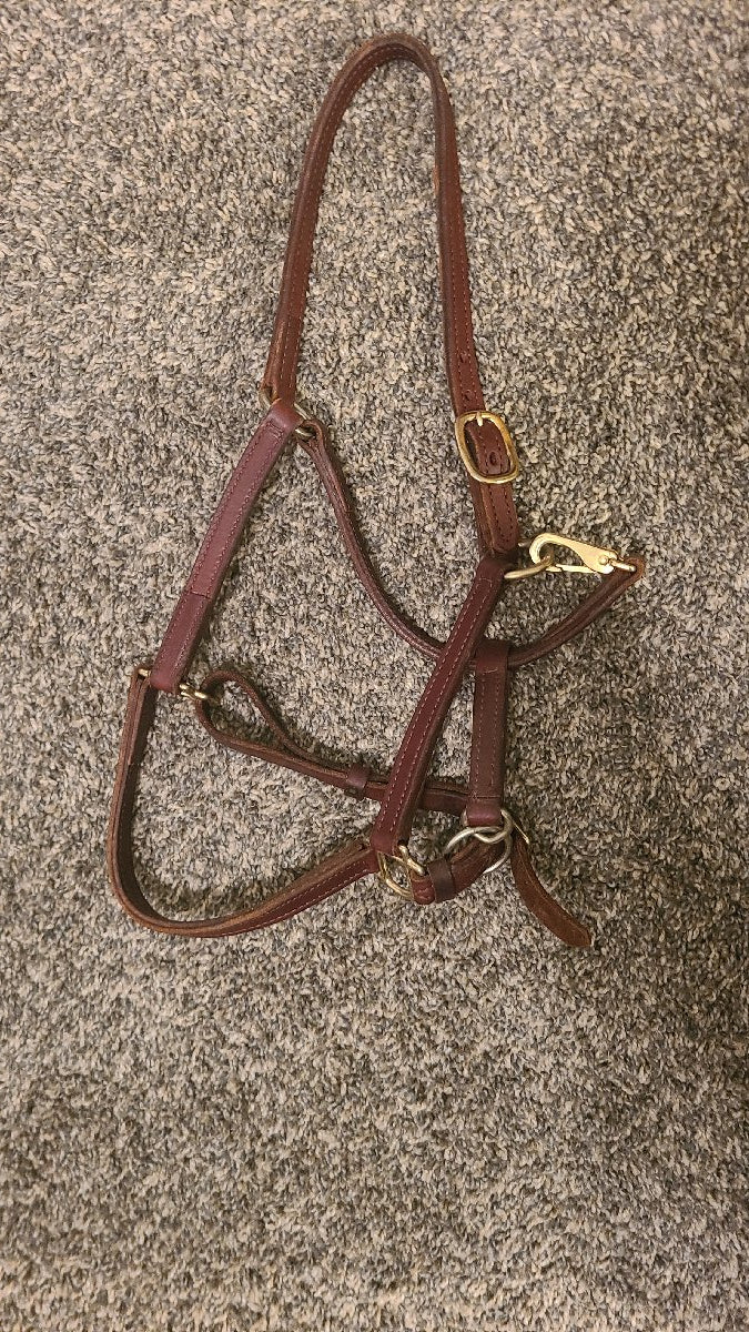 Leather halter