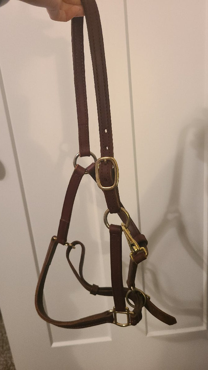 Leather halter