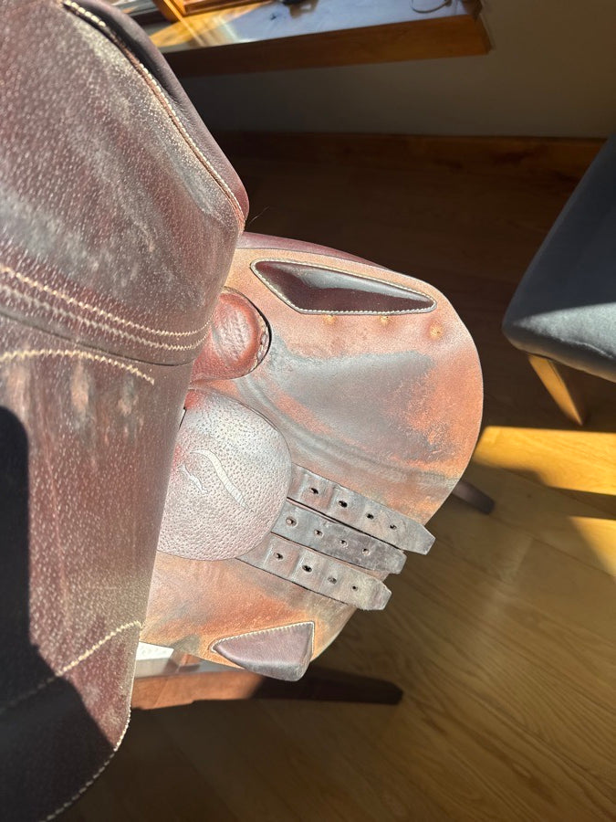 ANTARES Antarès saddle (6)