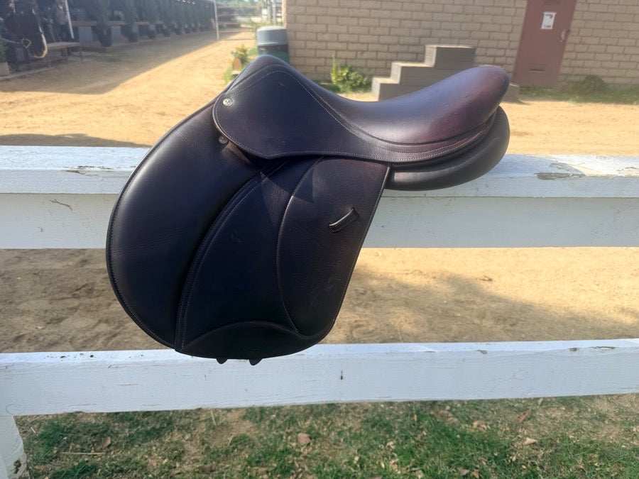 VOLTAIRE 16.5 Voltaire Palm Beach (2)