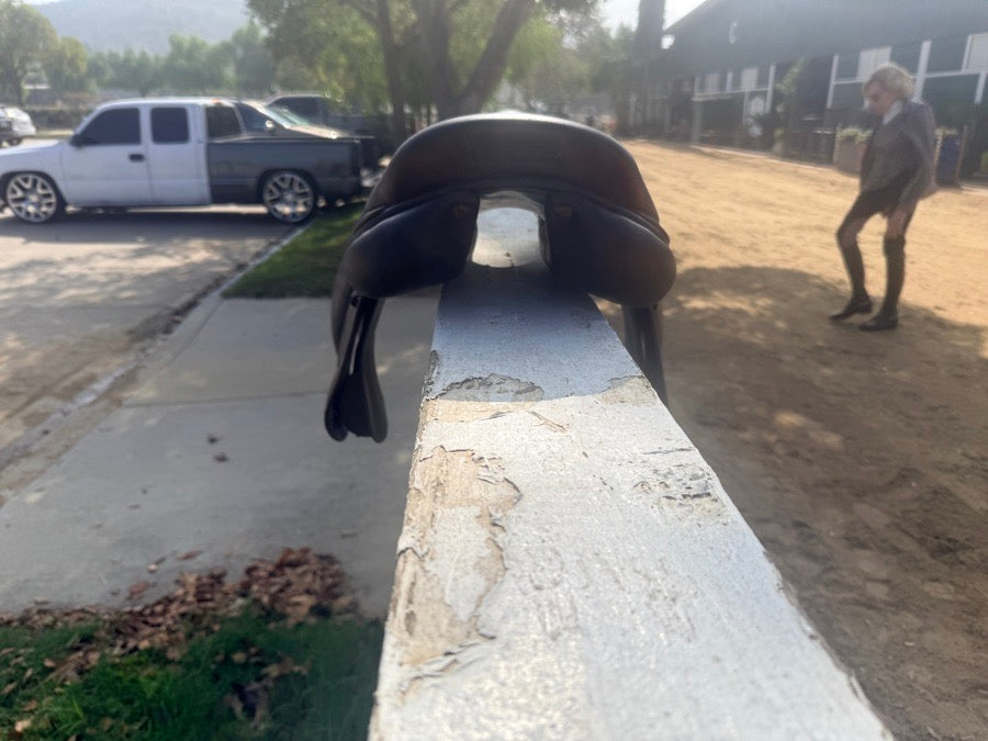 VOLTAIRE 16.5 Voltaire Palm Beach (3)