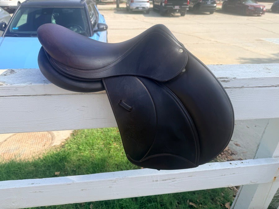 VOLTAIRE 16.5 Voltaire Palm Beach