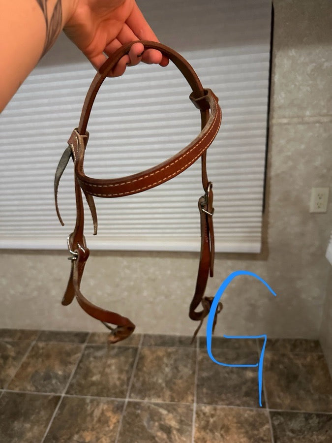 Brown bridle