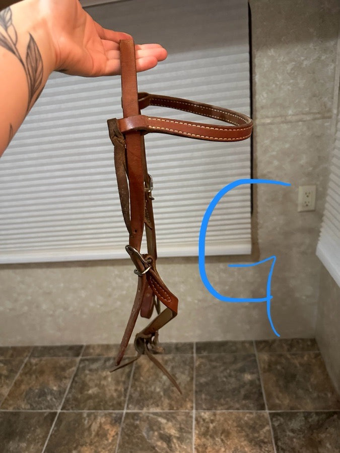 Brown bridle