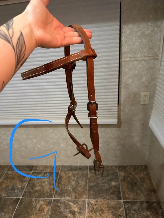 Brown bridle