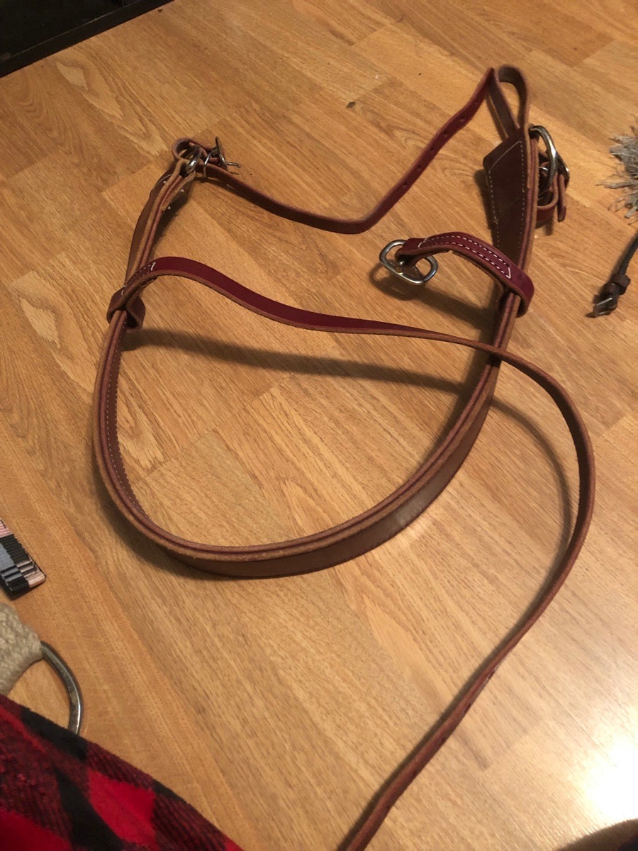 Polo/jumping breast collar