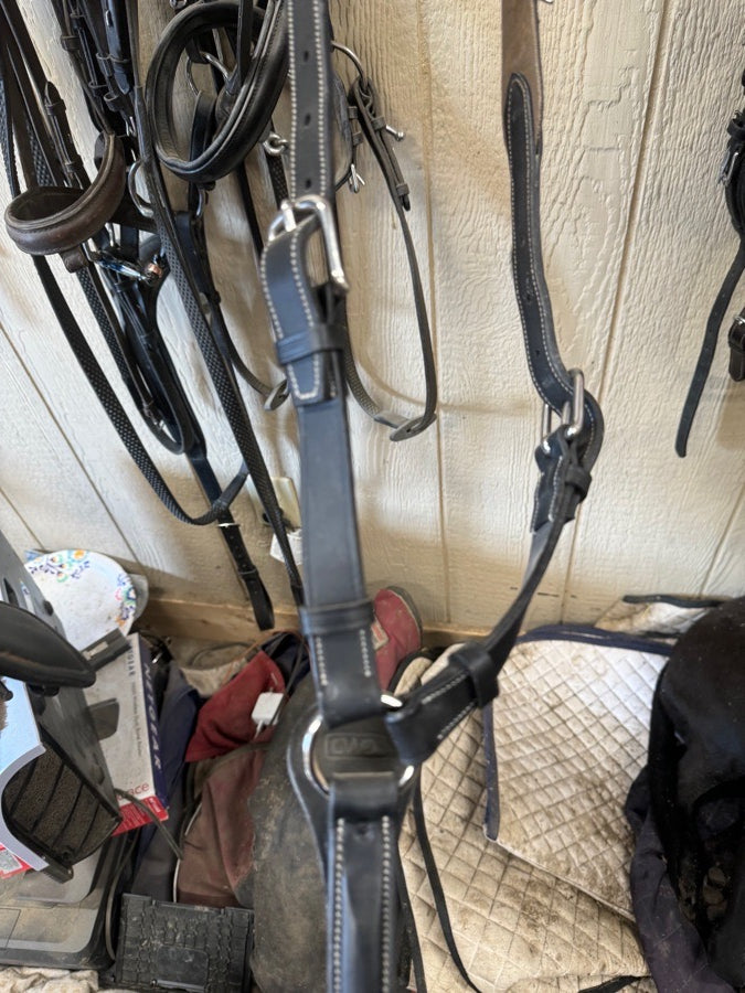 CWD breastplate