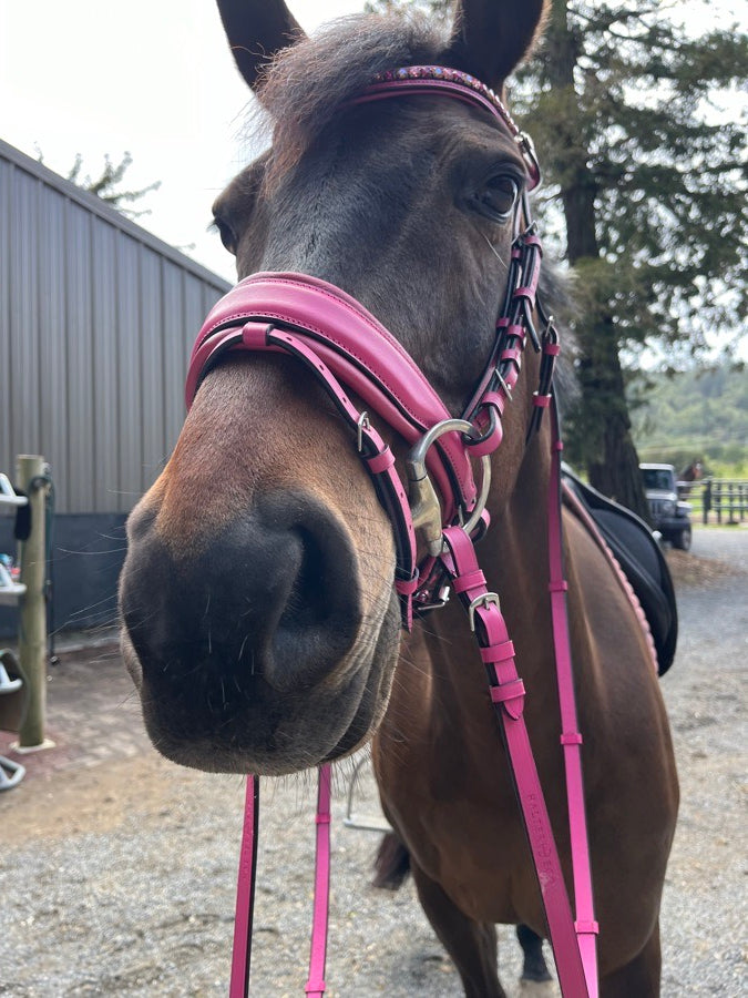 Halter Ego “The Barbie Pink Leather Snaffle Bridle”