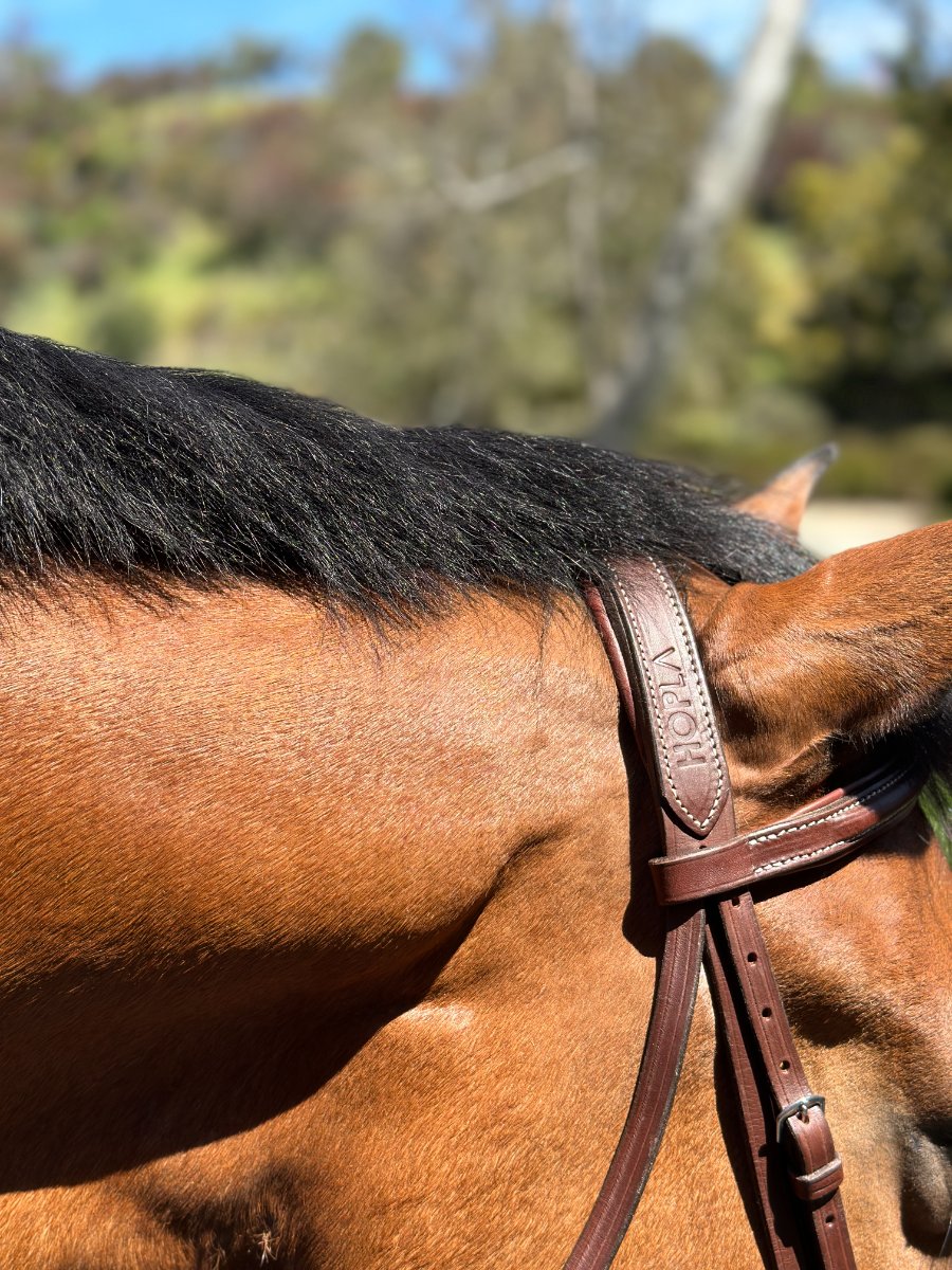 HOPLA Sellerie Hunter Bridle With Fancy Stitching