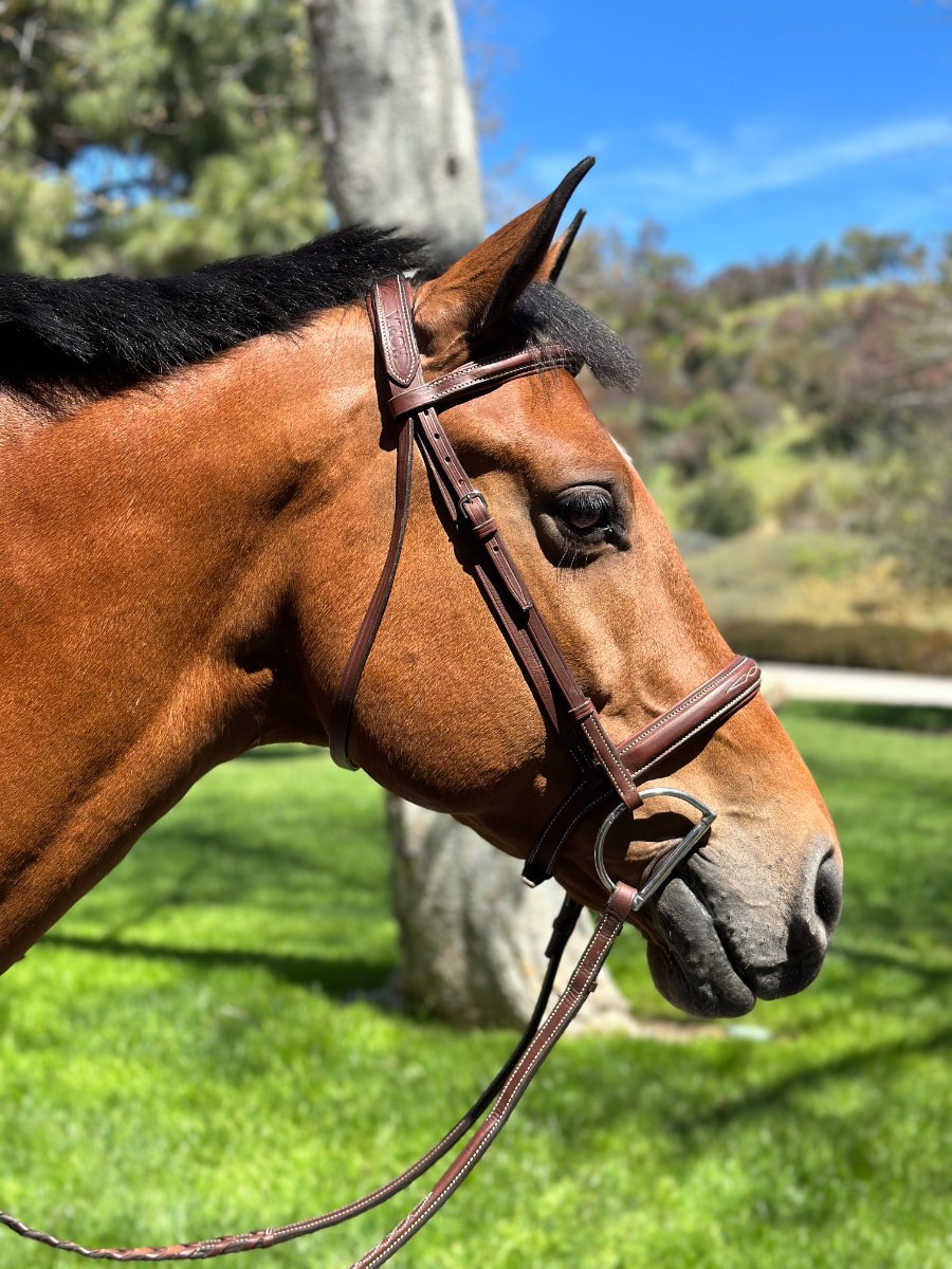 HOPLA Sellerie Hunter Bridle With Fancy Stitching