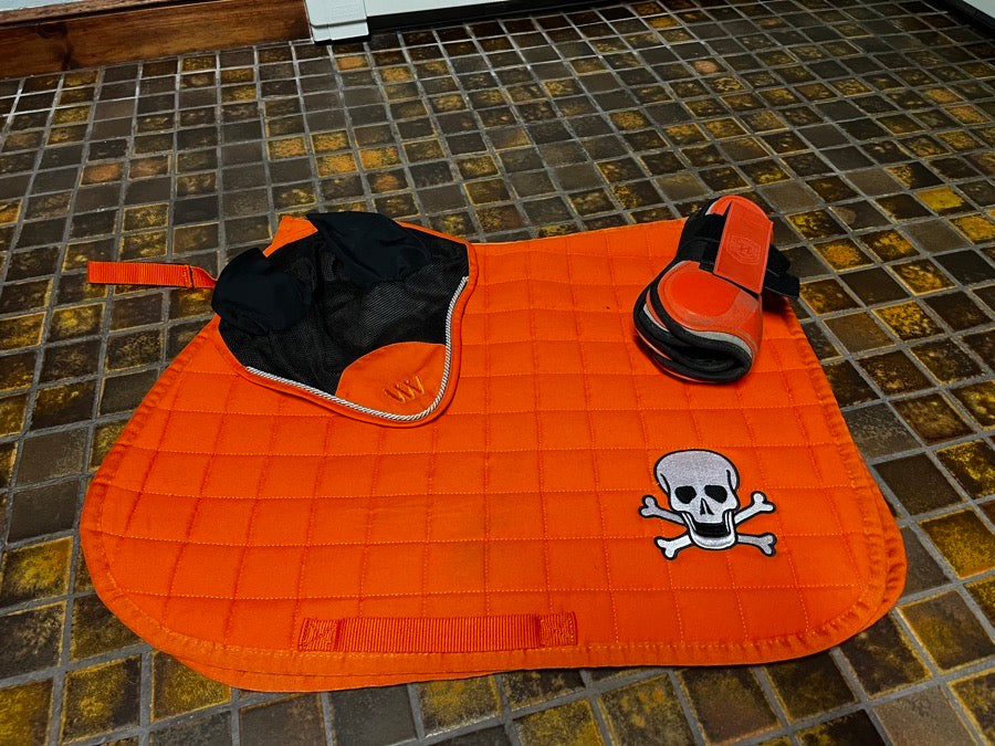 Saddle pad, boots, and ear bonnet set