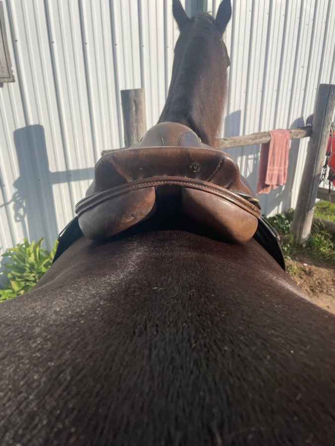 CROSBY Crosby Saddle (3)