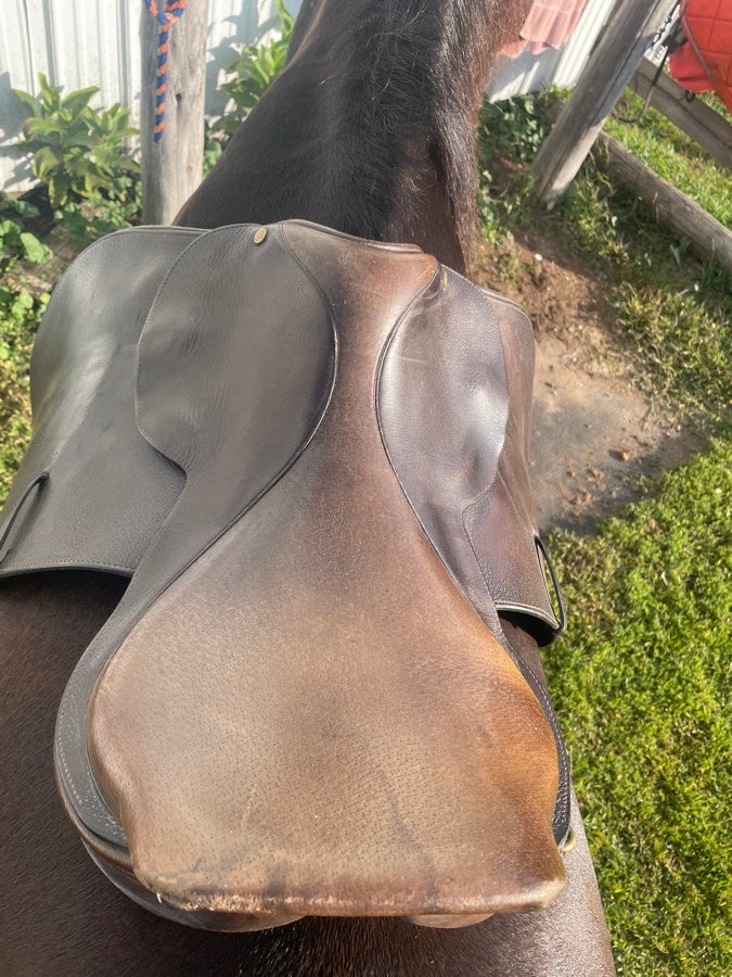 CROSBY Crosby Saddle (4)