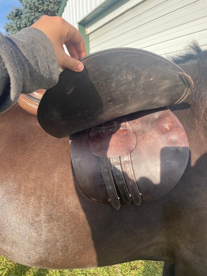CROSBY Crosby Saddle (2)