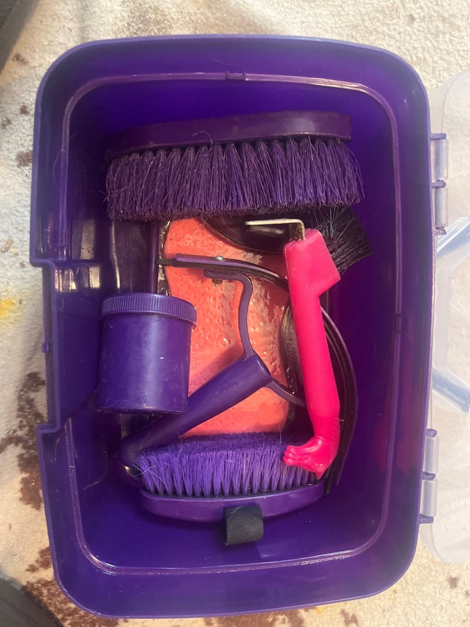 Grooming kit