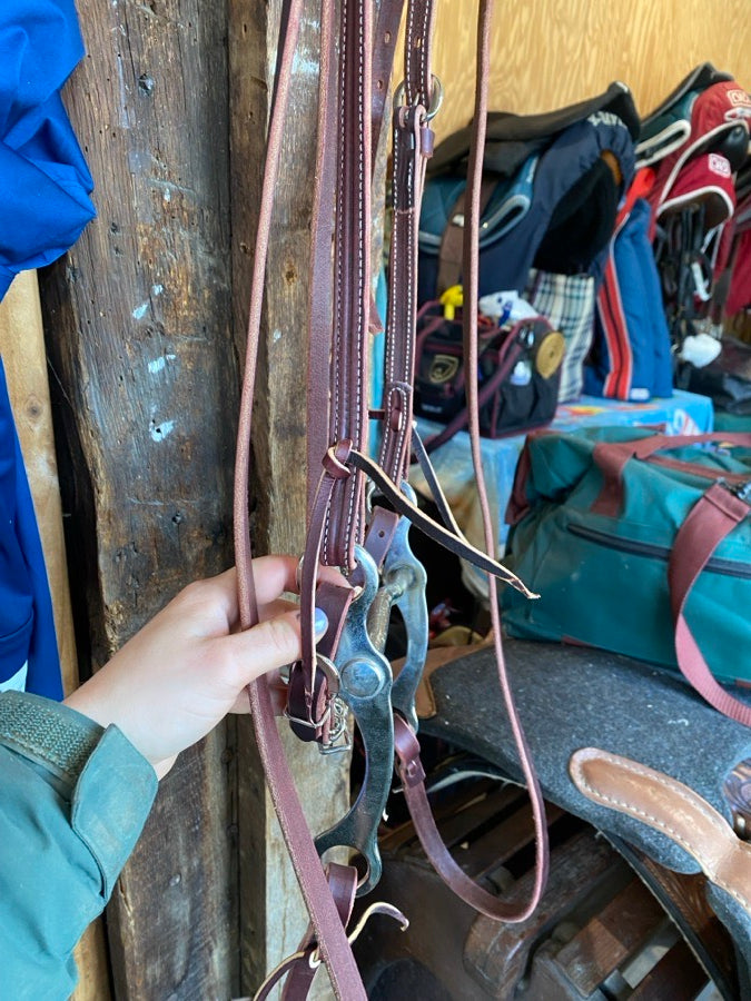 WEAVER LEATHER Weaver western bridle (4)