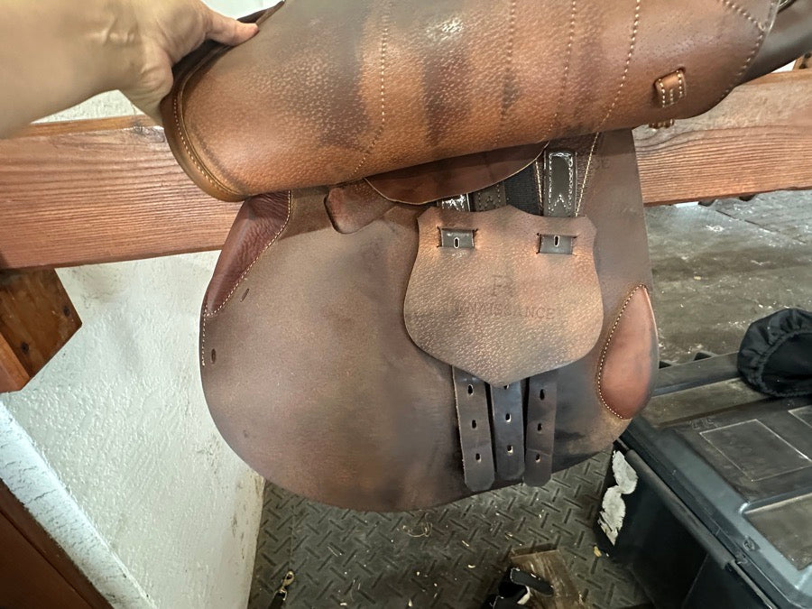 PRESTIGE 2024 Renaissance Saddle by Prestige (5)
